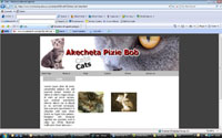 Sample Cat Website